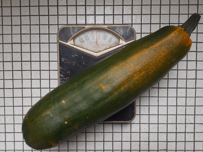 Courgette
Courgette