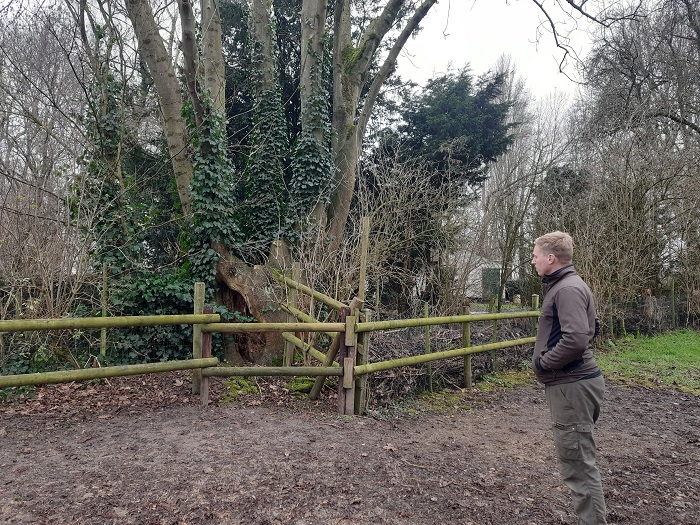 Boswachter
Boswachter